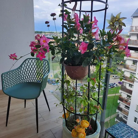 Mieszkanie Park Apartment Ciechanów