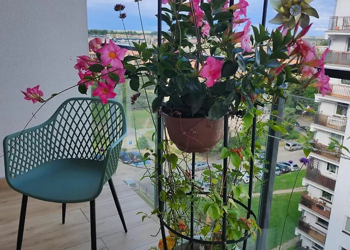 Mieszkanie Park Apartment Ciechanów